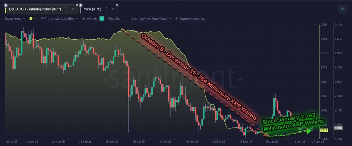 xrp-millionairs-change-29-january